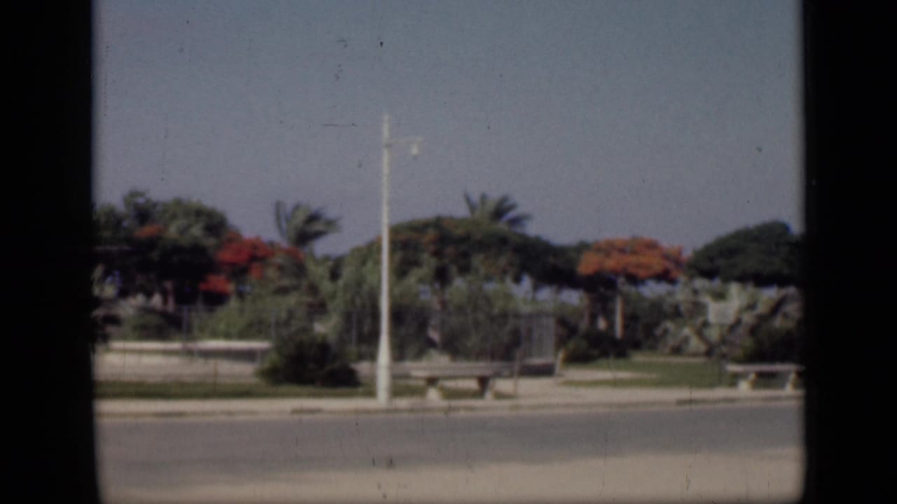 Roadside park area with white benches, dense green planting, red blossoms, palms, and a white pole.