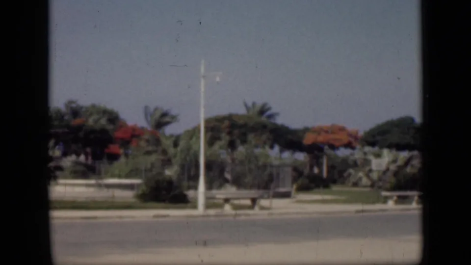 1946 Cairo streetside greenery with benches, palms, red-flowering trees, and a tall white pole, framed by dark film or window borders.