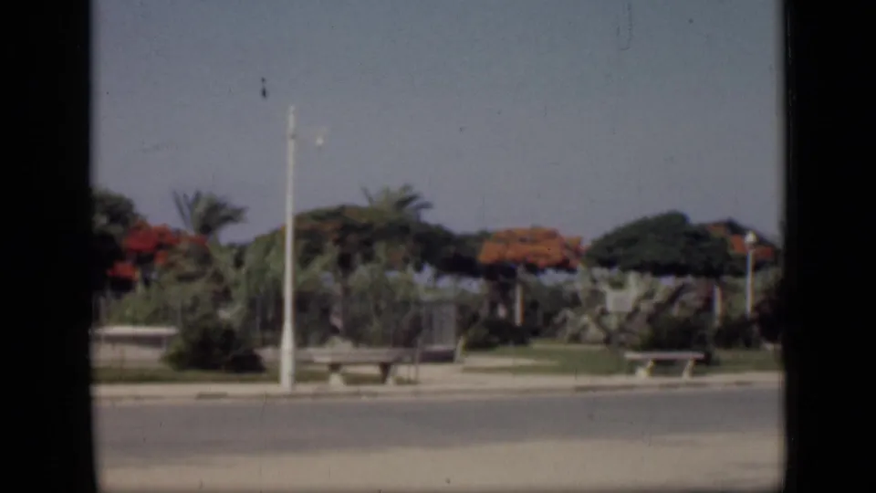1946 Cairo home-movie frame showing a quiet paved road with benches, palms, red-flowering trees, and landscaped planting beyond it.
