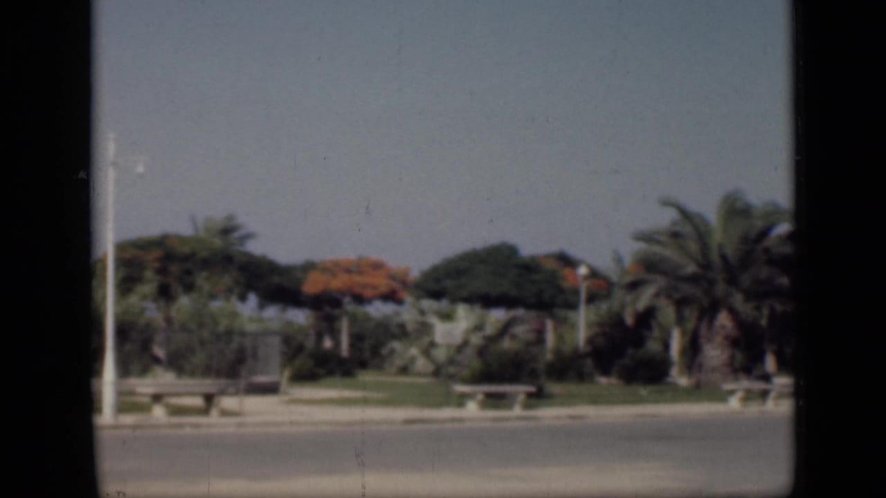 1946 Cairo home-movie frame showing a quiet roadside area with palms, benches, low walls, and planted grounds.