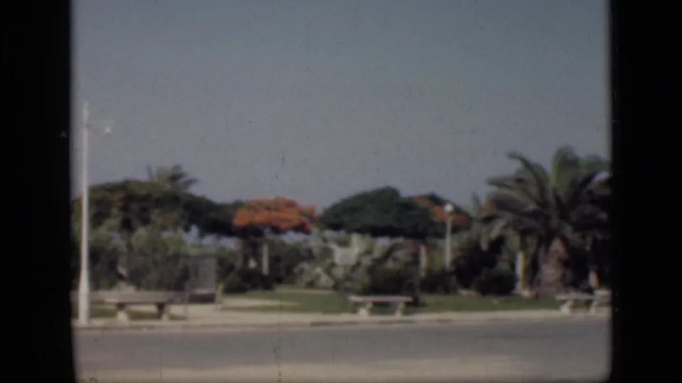 1946 Cairo home-movie frame showing a quiet roadside area with palms, benches, low walls, and planted grounds.