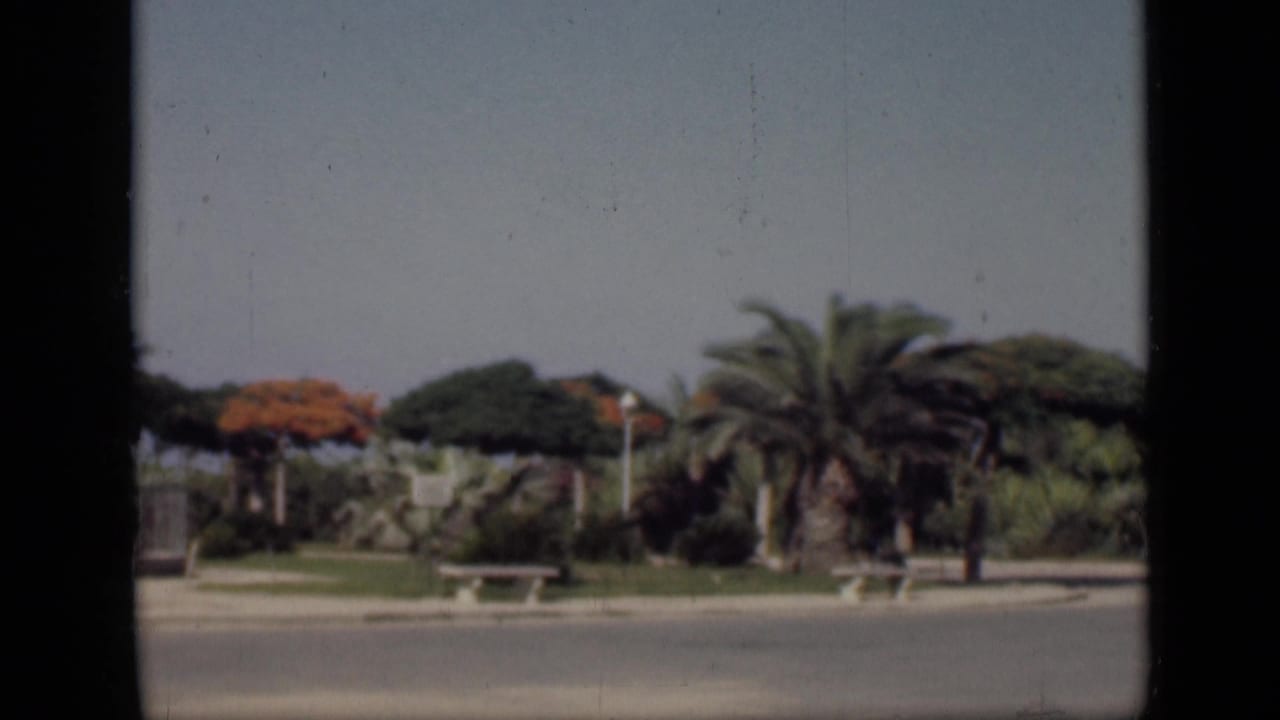 Roadside planted area with palms, benches, low walls, and soft faded color.