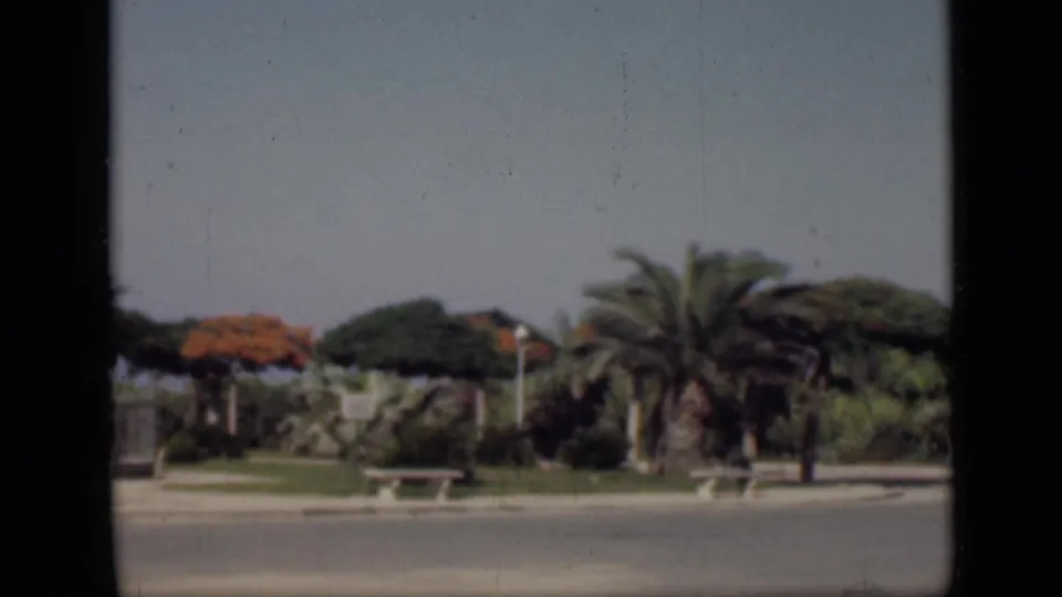 1946 Cairo frame with palms, benches, low walls, and planted roadside grounds seen through soft 8mm color.