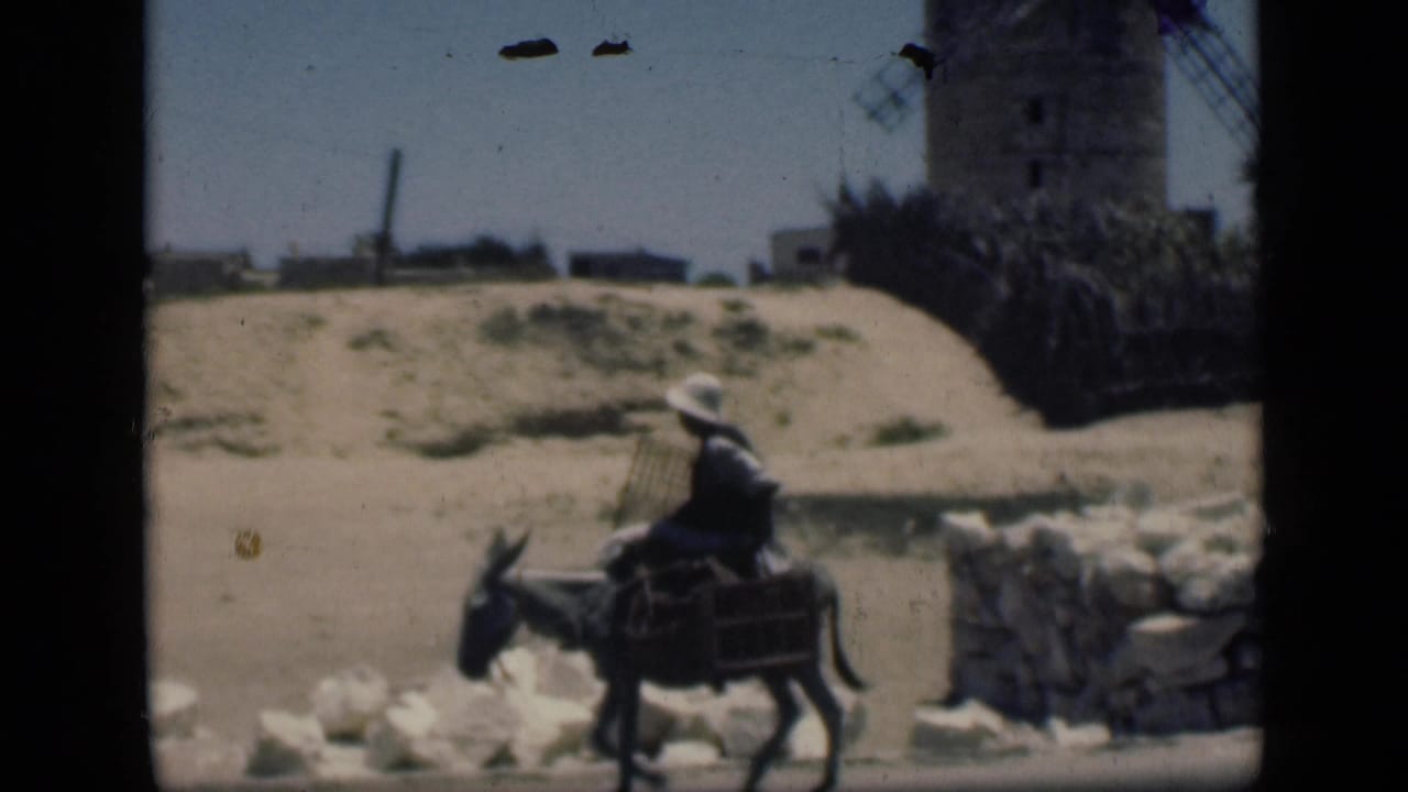 1946 Cairo street scene with a man riding a donkey past white stones, a sandy embankment, and a distant windmill-like structure.