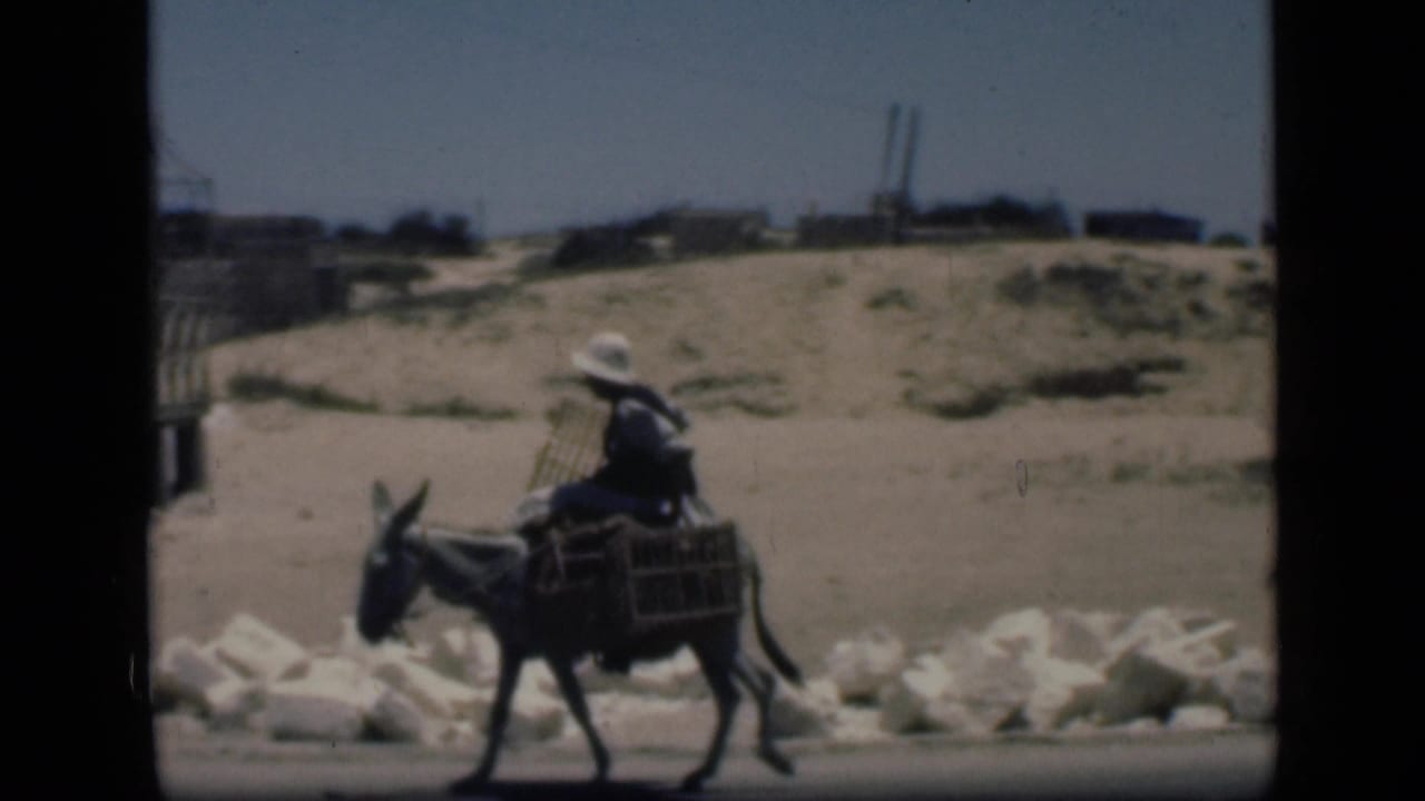 1946 Cairo frame showing a donkey rider on a dusty road with white rocks, sandy ground, and distant low buildings.