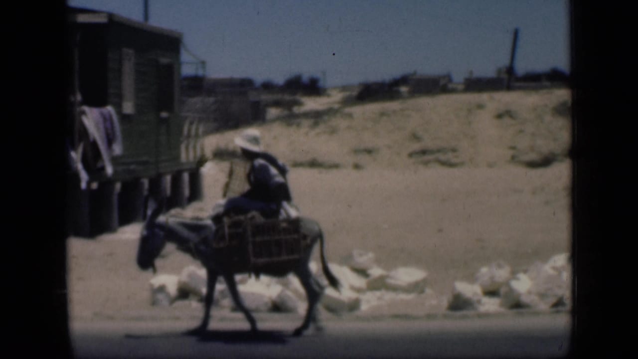 1946 Cairo home-movie frame showing a man in a white hat riding a donkey with baskets near a roadside wooden structure.