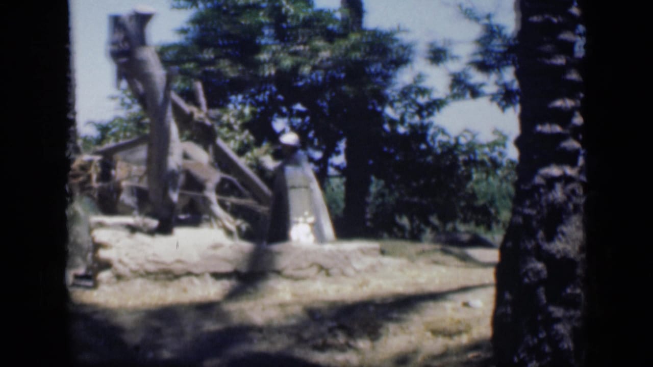 Donkey and man beside a wooden water pump outdoors among trees.