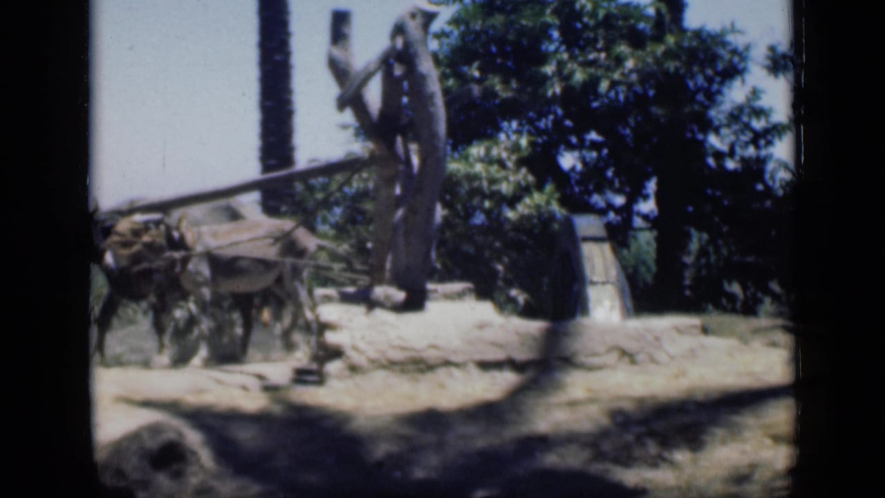 1946 Cairo 8mm frame with the man near the wooden pump structure and the donkey partly visible during its circular path.