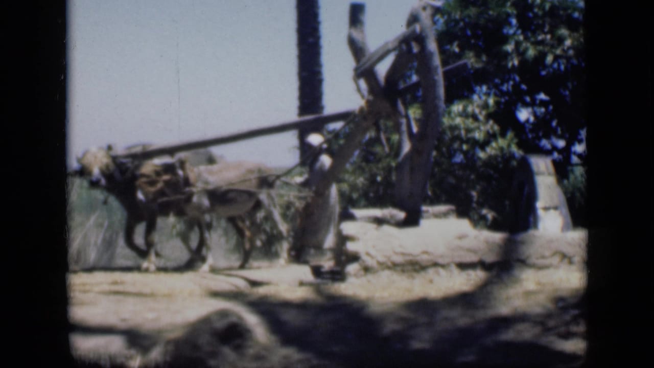 1946 Cairo home-movie frame showing the donkey continuing around the water pump with the man positioned beside the apparatus.
