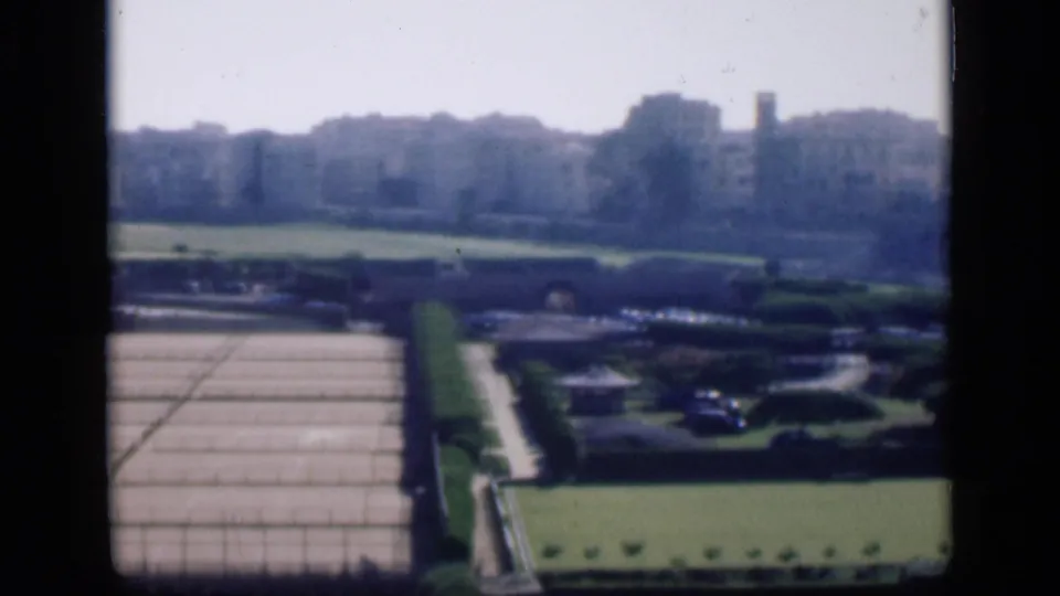 1946 Cairo 8mm frame showing formal agricultural plots, garden paths, hedges, and distant urban buildings under a bright sky.