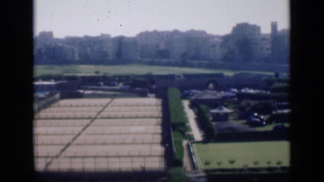 Garden plots, hedges, parked vehicles, and distant buildings seen from above.