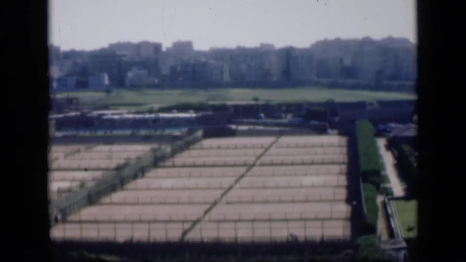 Final 1946 Cairo frame showing rectangular agricultural beds, clipped hedges, garden structures, and distant buildings across the horizon.