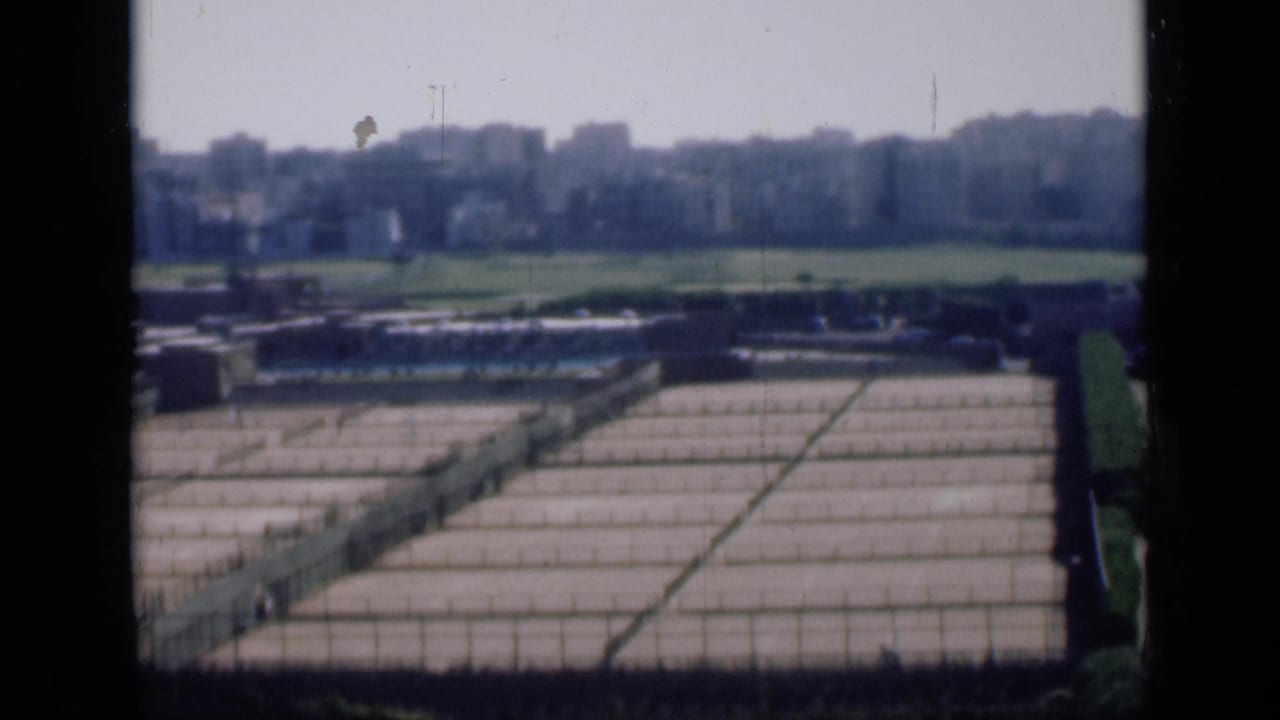 Distant Cairo skyline beyond green fields and rows of rectangular concrete basins.