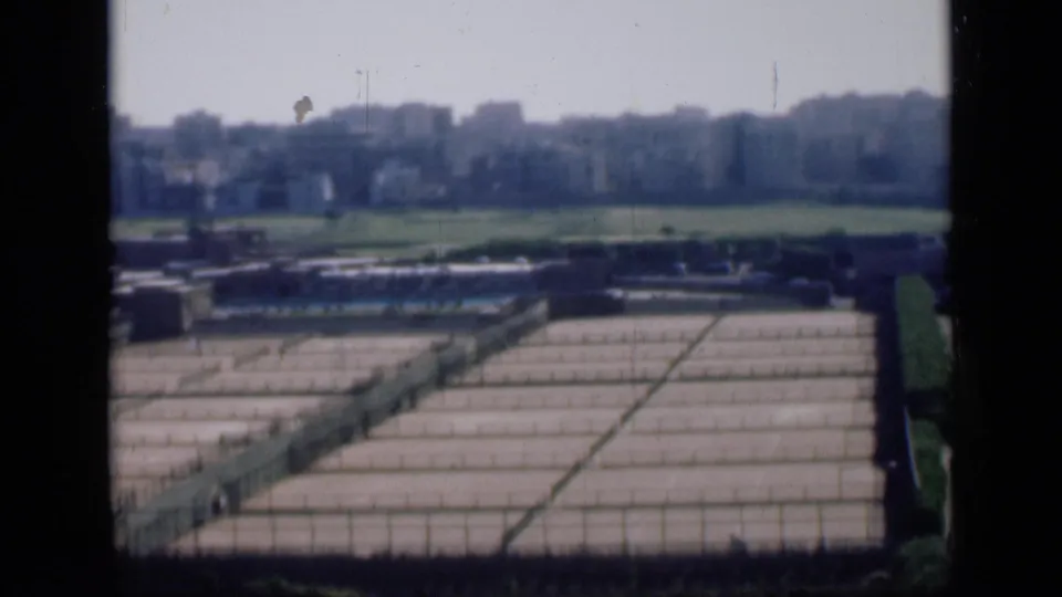 1946 Cairo view across ordered concrete storage or drying beds, green fields and a distant mid-rise city skyline.