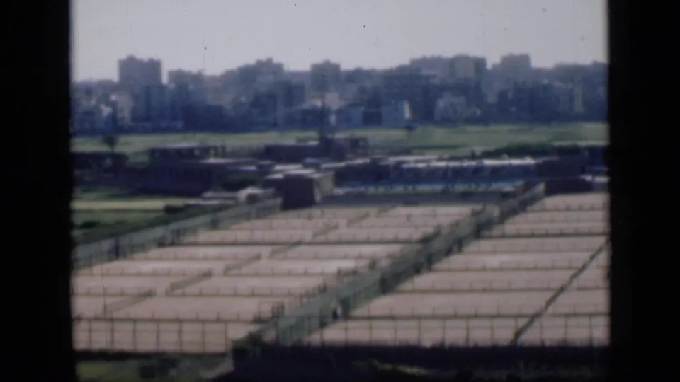 Elevated 1946 Cairo view over rectangular basins and fenced lanes toward green fields and an urban skyline.