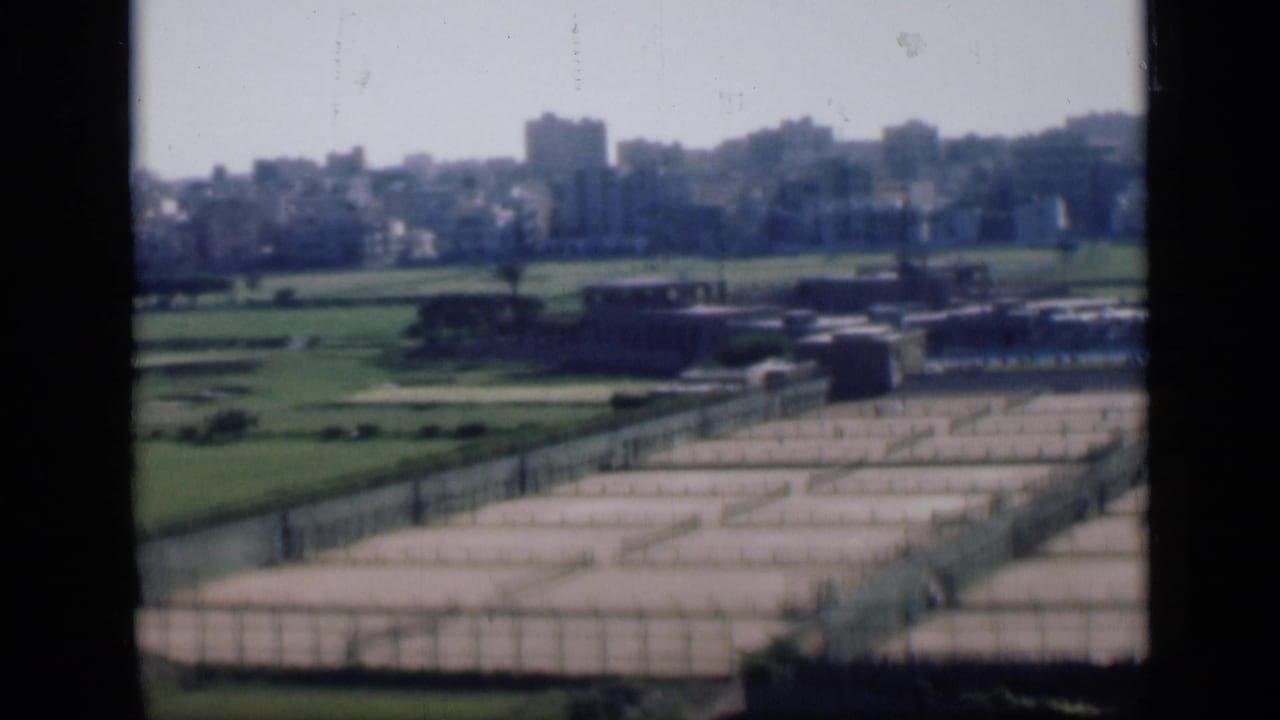 Elevated view over fenced courts or plots, lawns, trees, and distant Cairo buildings.
