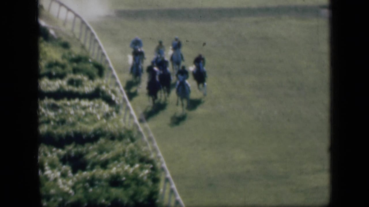 Pack of horses and jockeys moving along a grassy racecourse bordered by bushes and rail.