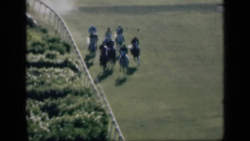 1946 Cairo racecourse view with several jockeys clustered on horses along a curved grass track beside dense planting.