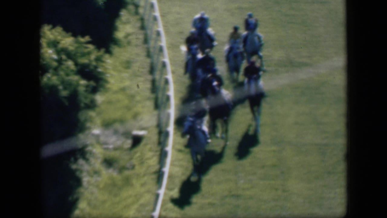Jockeys on horses race along a white rail fence on a grass track.