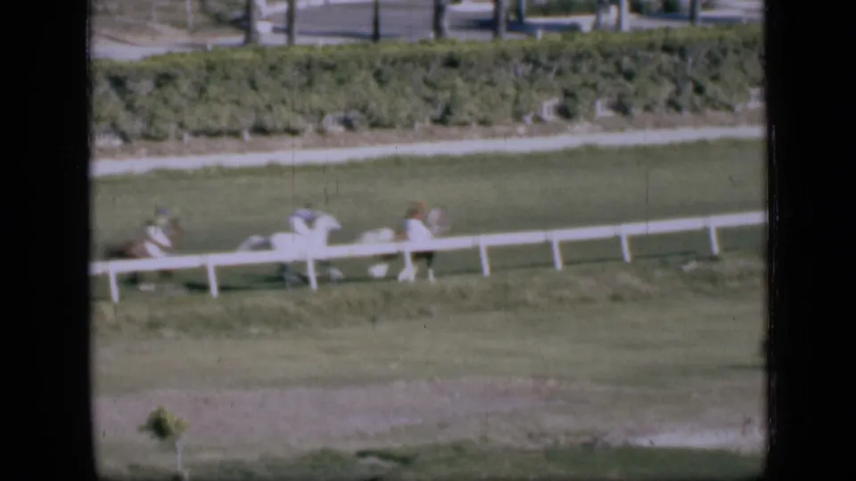Wide 1946 Cairo racing view with distant horses and jockeys traveling along a white rail across the grass track.