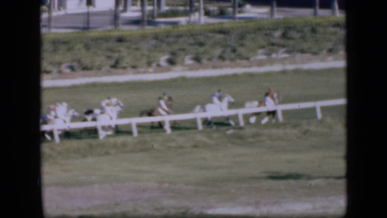 1946 Cairo racecourse view with horses and jockeys moving along the grass track, seen from a distant spectator angle.