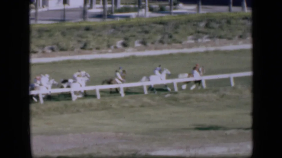 1946 Cairo racecourse view with horses and jockeys moving along the grass track, seen from a distant spectator angle.
