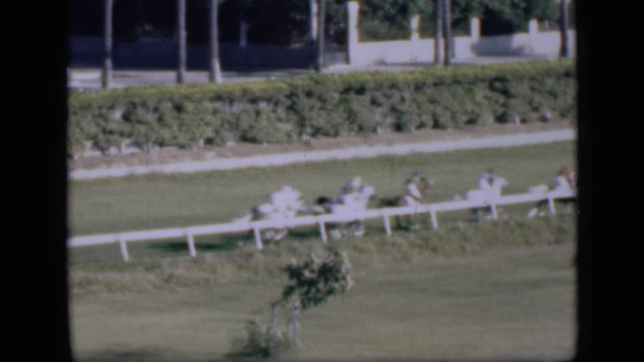 Cairo horse racing scene with the course rail, turf, hedges, distant buildings, and small figures visible in bright daylight.