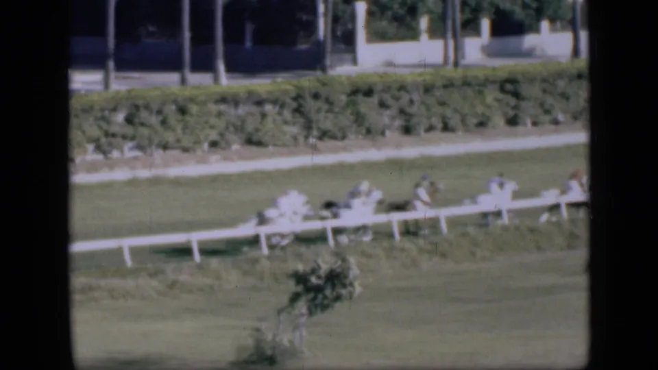 Cairo horse racing scene with the course rail, turf, hedges, distant buildings, and small figures visible in bright daylight.