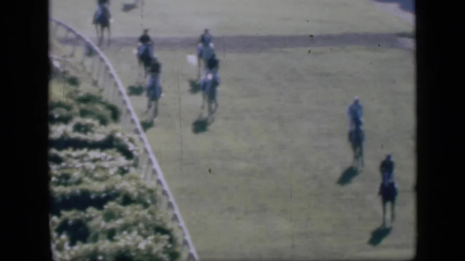 Distant 1946 Cairo racing view with horses and jockeys spread along a curved turf course inside a white rail.