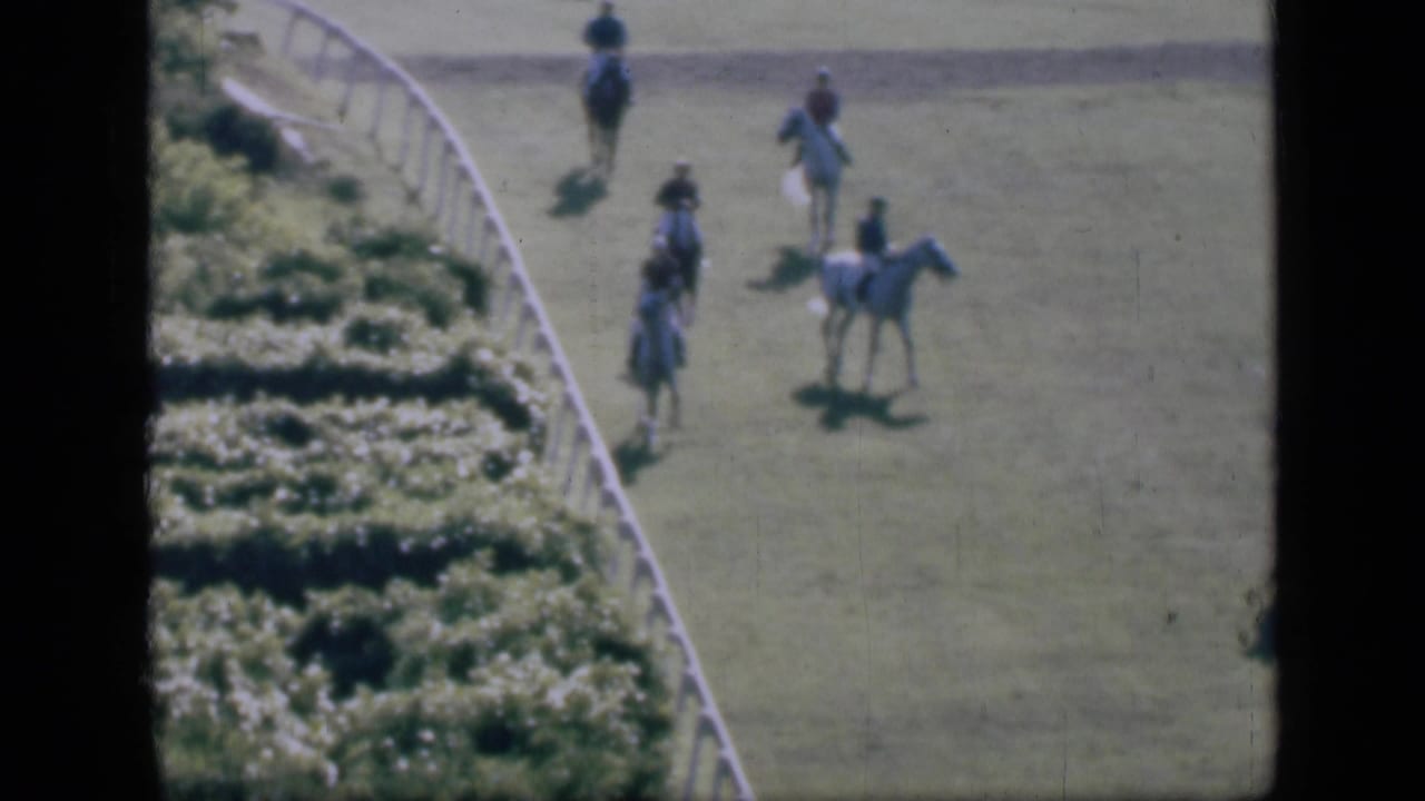 Several jockeys on light and dark horses appear on a Cairo racetrack, seen from above in soft 8mm color footage.