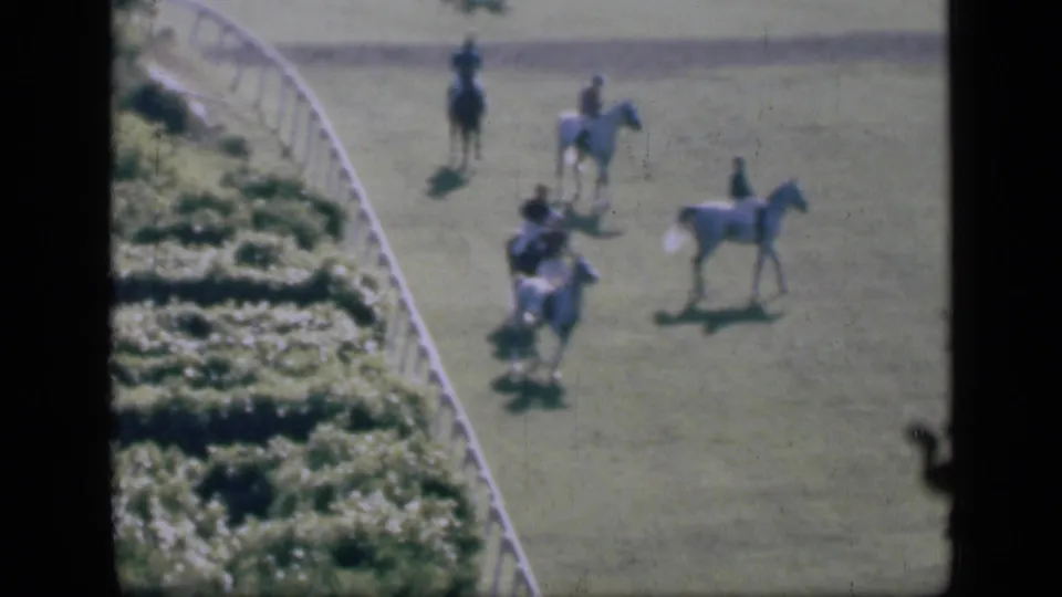 High-angle racetrack frame shows jockeys and horses regrouping on the grass in Cairo, with shrubbery and white railing at left.