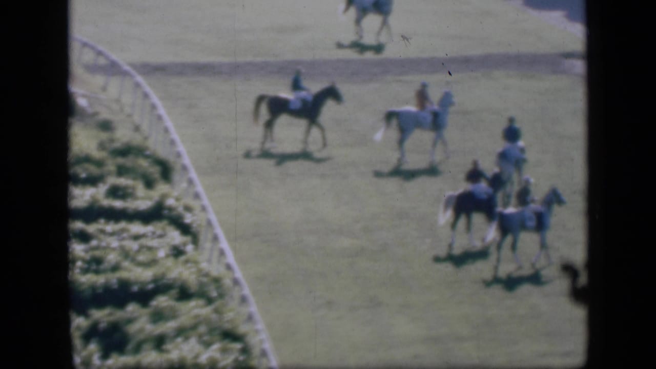 Riders on horses move across a grassy racetrack beside a white rail.