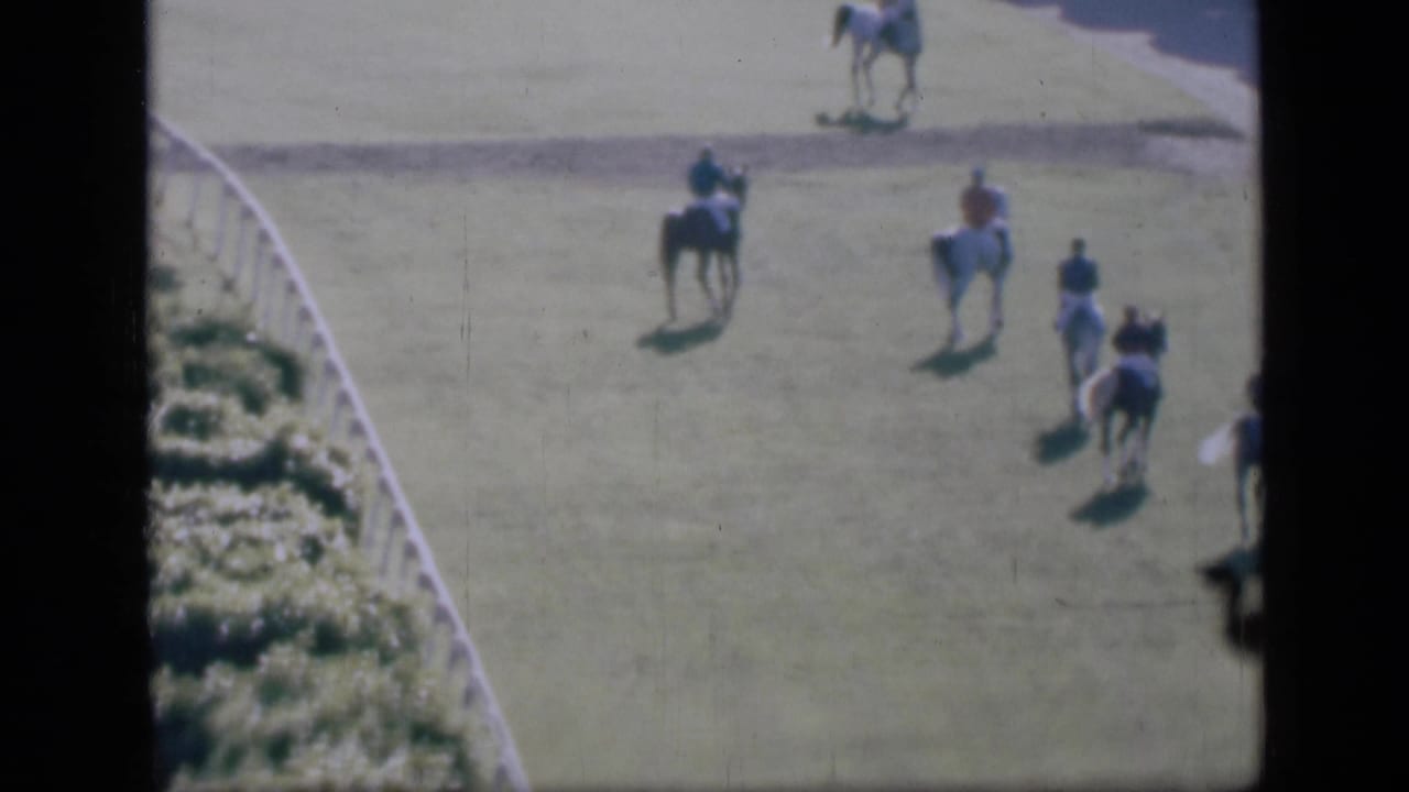 Several riders on horses continue across the grass track near the rail.