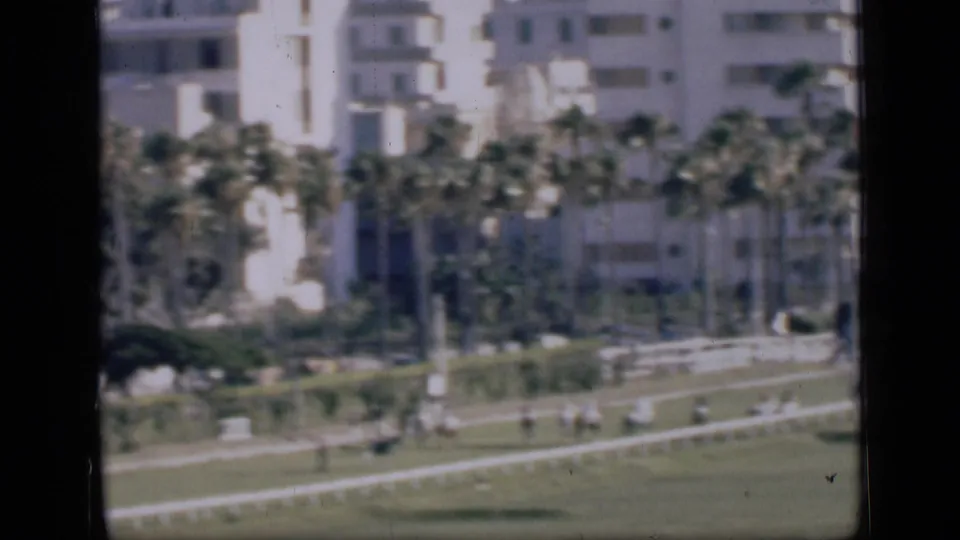 1946 Cairo wide racetrack frame with distant mounted riders, white rail fencing, palm trees, and urban buildings in soft focus.
