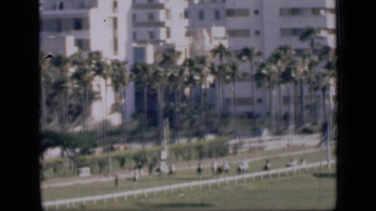 Horse race course with palms and white apartment buildings in the background.