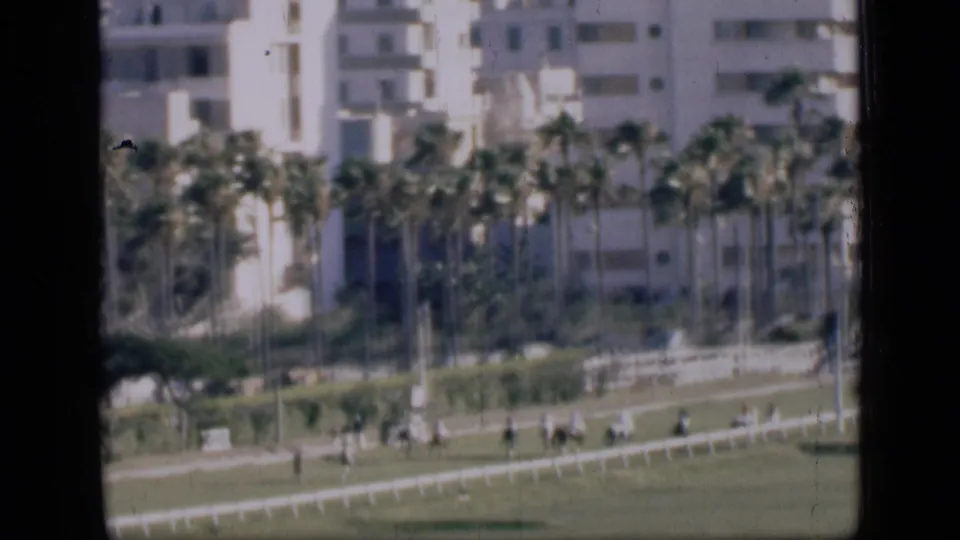 1946 Cairo home-movie view of a grassy racetrack with riders in the distance, palm trees, and pale apartment buildings beyond.