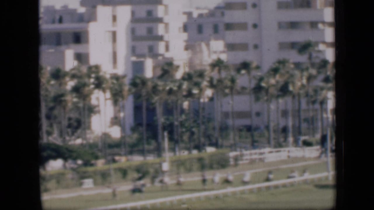 Palm-lined racetrack with distant horses, railings, and apartment blocks.