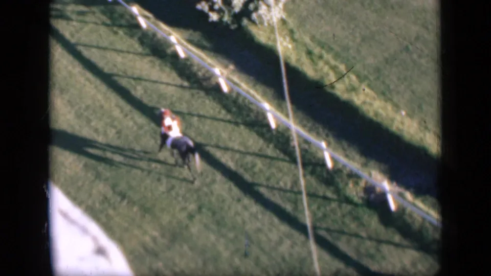 Later 1946 Cairo frame of the jockey and dark horse moving away on the green track beside white rail fencing.