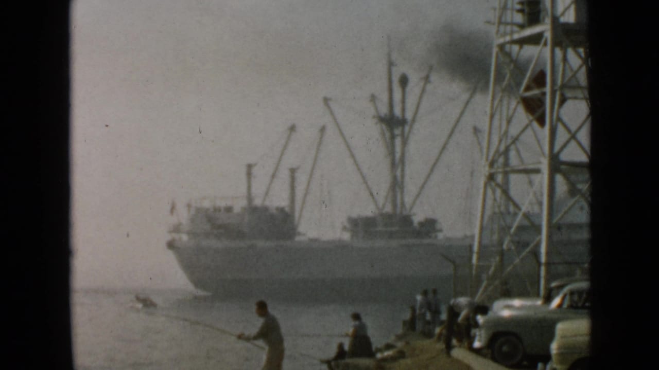 People fish from a waterfront as a large ship passes behind them in the harbor.