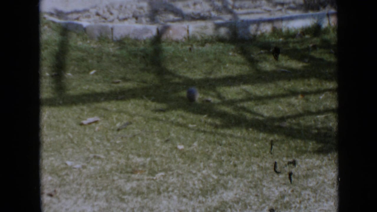 Grass yard with a small ball near a low concrete border and strong shadows.