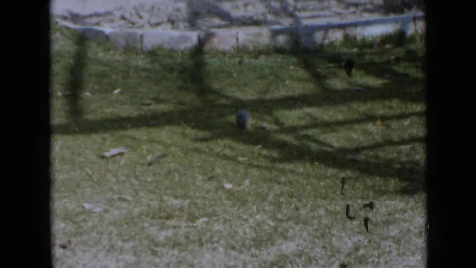 1949 San Diego home-movie frame showing a grassy backyard, small ball, concrete border, and dark shadows across the lawn.
