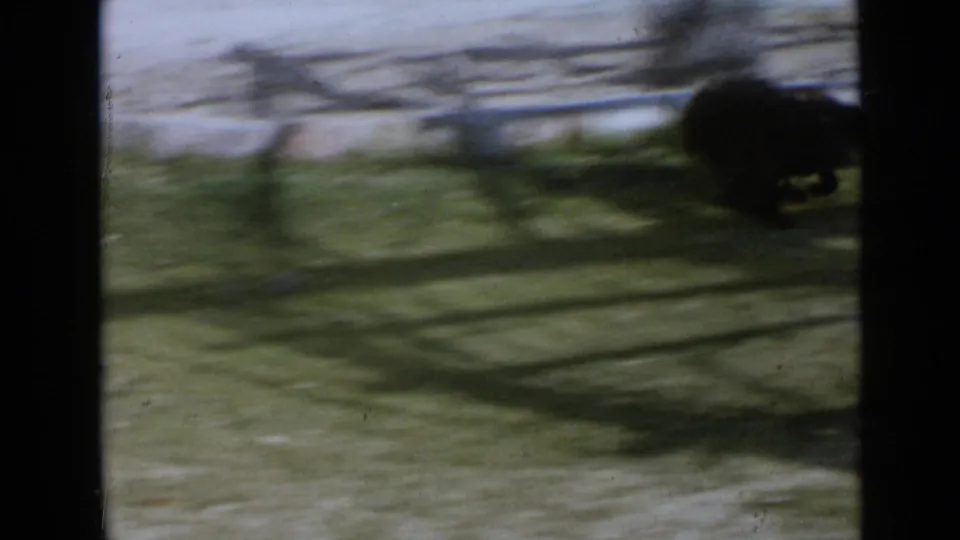 Motion-blurred 1949 San Diego backyard frame with a small dark dog moving near the edge of the lawn.