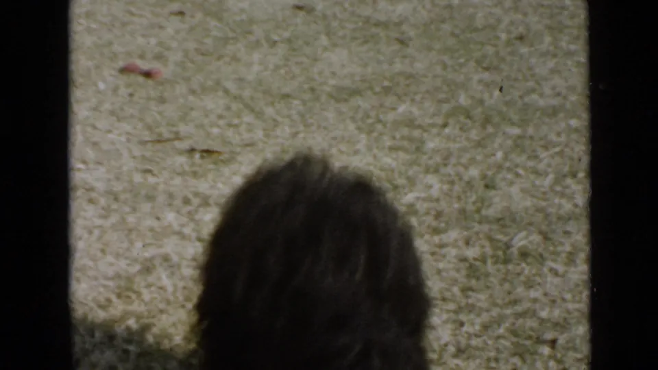 1949 San Diego home-movie frame ending in a blurred close foreground, with grass and the back of a dark dog partly visible.