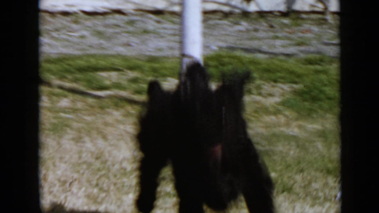 Black shaggy dog approaches the camera across grass near a white post.
