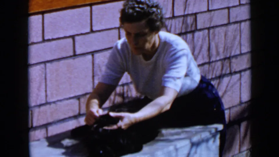 Adult in a light shirt and dark pants tends to a black dog on a stone surface beside a brick wall in the supplied San Diego home-movie clip.