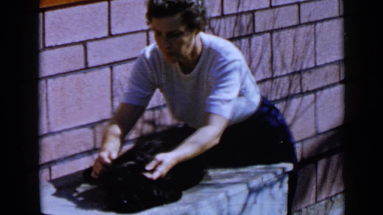 Woman in a white shirt combing a black dog on a stone ledge beside a brick wall.