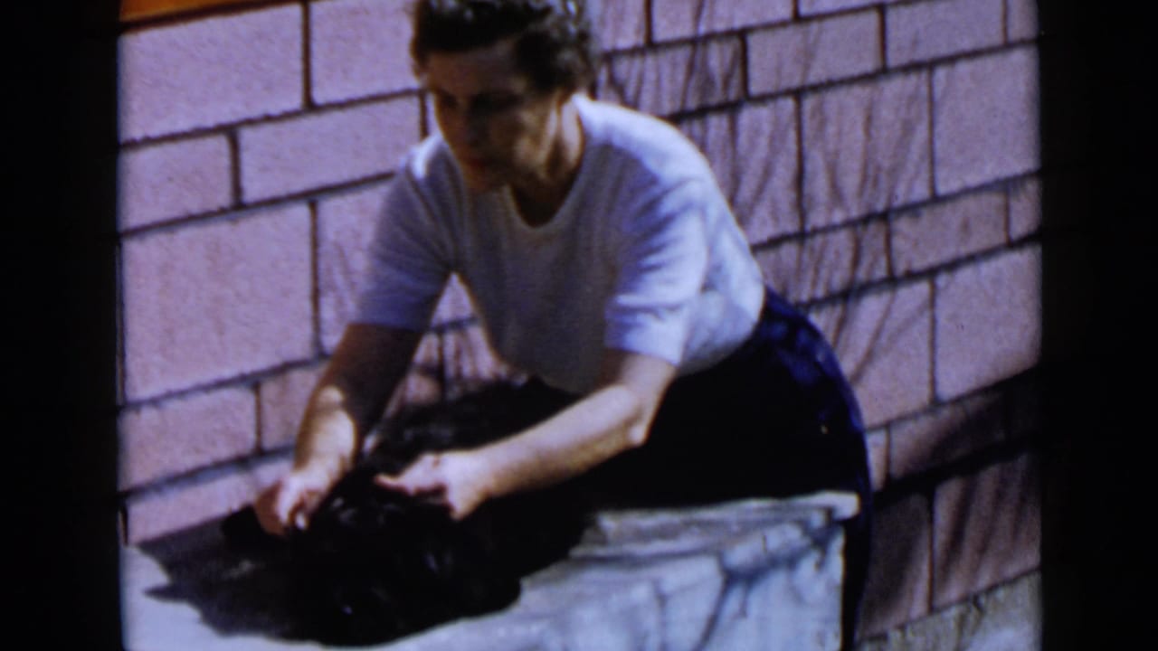 The woman continues grooming the black dog on an outdoor ledge, with the brick wall and strong sunlight visible behind her.