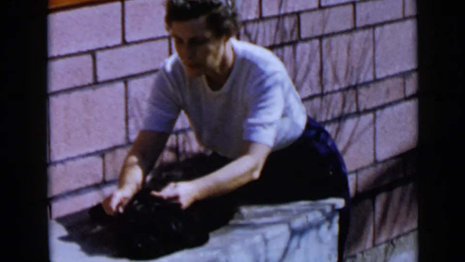 The woman continues grooming the black dog on an outdoor ledge, with the brick wall and strong sunlight visible behind her.