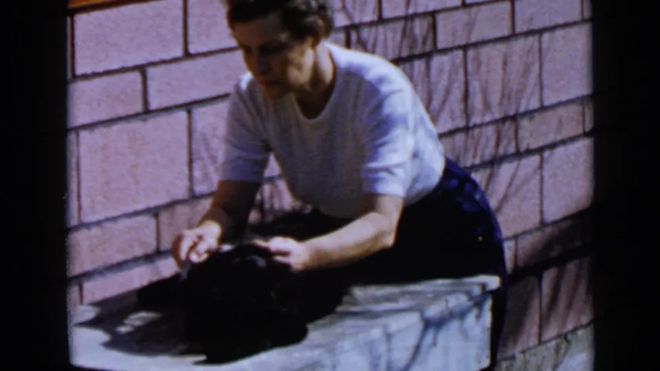 A seated woman in casual clothing works through the black dog's fur on a stone ledge in the San Diego home-movie scene.