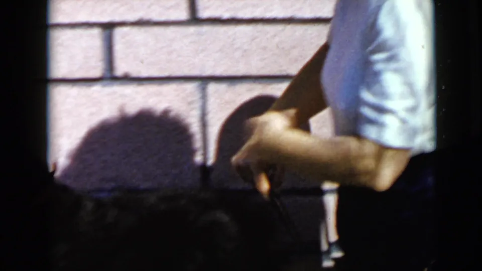 An adult torso and forearm in a light short-sleeved shirt appear beside the mostly shadowed black dog near the brick wall.